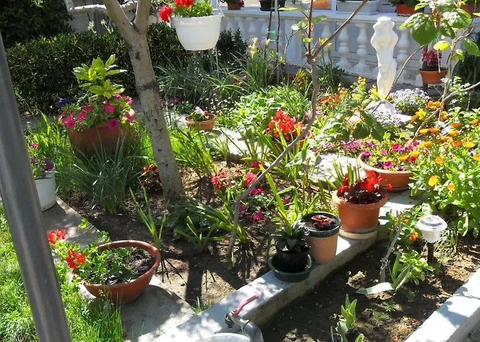 Appartement By The Sea Kozino - Zadar - 11169